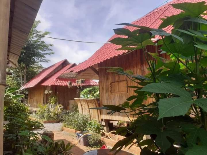 Odambang Village Homestay Battambang Kültér fotó