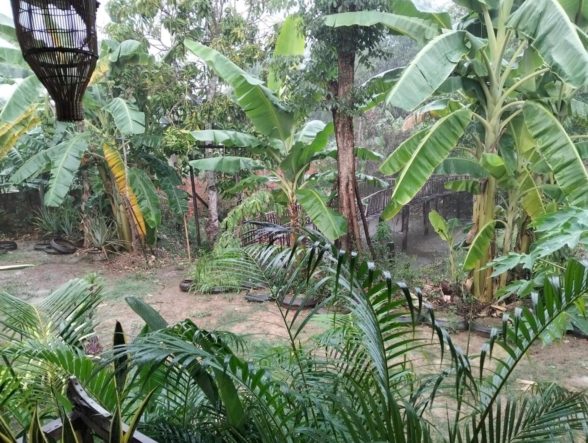 Odambang Village Homestay Battambang Kültér fotó